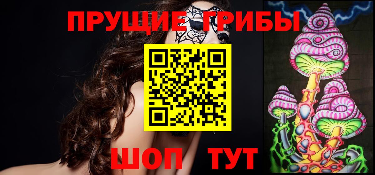Сочи  Псилоцибиновые грибы прущие грибы  Псилоцибиновые грибы Psilocybine cubensis  Вход с VPN 